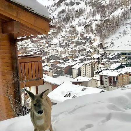 Lindi- Inspiring Place With View Over Daire Zermatt