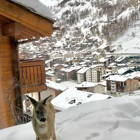 Lindi- Inspiring Place With View Over Appartement Zermatt